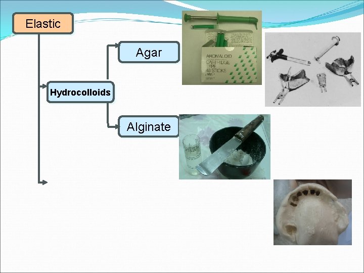 Elastic Agar Hydrocolloids Alginate 