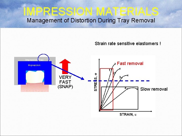IMPRESSION MATERIALS Management of Distortion During Tray Removal Strain rate sensitive elastomers ! Impression
