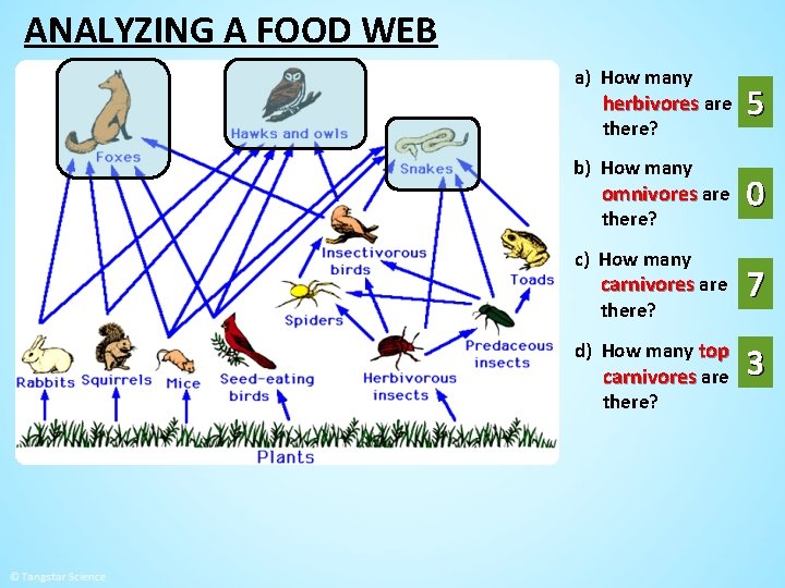 ANALYZING A FOOD WEB a) How many herbivores are there? b) How many omnivores