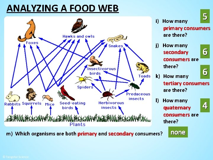 ANALYZING A FOOD WEB i) How many 5 primary consumers are there? j) How