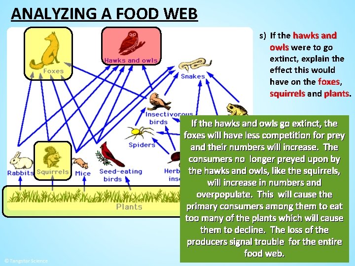 ANALYZING A FOOD WEB s) If the hawks and owls were to go extinct,