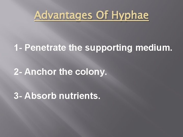 Advantages Of Hyphae 1 - Penetrate the supporting medium. 2 - Anchor the colony.