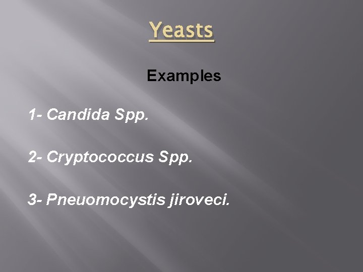 Yeasts Examples 1 - Candida Spp. 2 - Cryptococcus Spp. 3 - Pneuomocystis jiroveci.