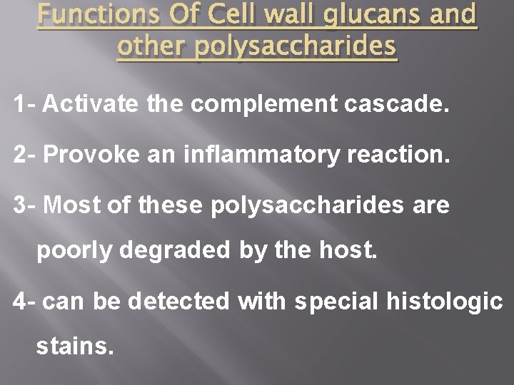 Functions Of Cell wall glucans and other polysaccharides 1 - Activate the complement cascade.