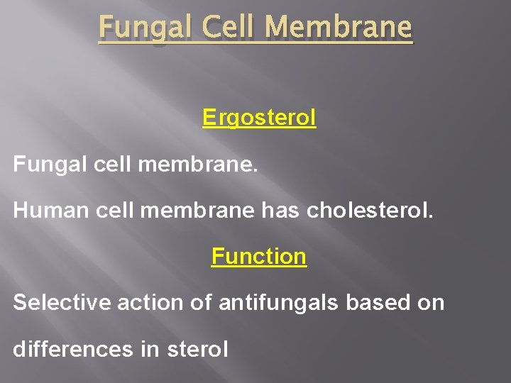 Fungal Cell Membrane Ergosterol Fungal cell membrane. Human cell membrane has cholesterol. Function Selective