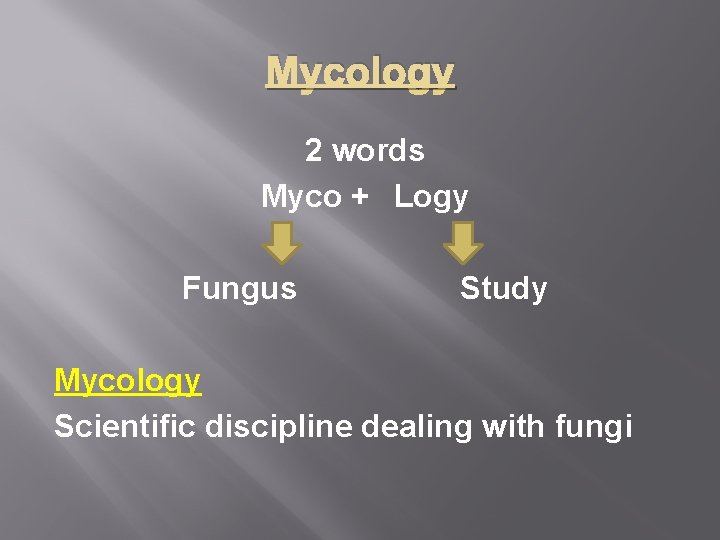 Mycology 2 words Myco + Logy Fungus Study Mycology Scientific discipline dealing with fungi