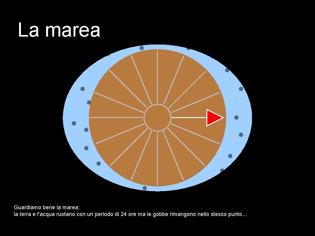 La marea Guardiamo bene la marea: la terra e l'acqua ruotano con un periodo