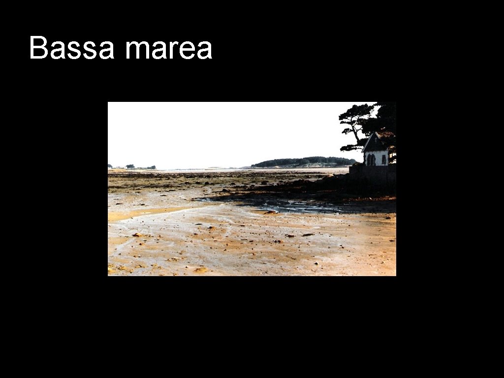 Bassa marea 