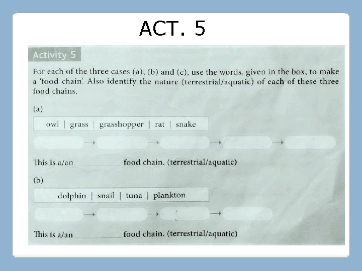 ACT. 5 