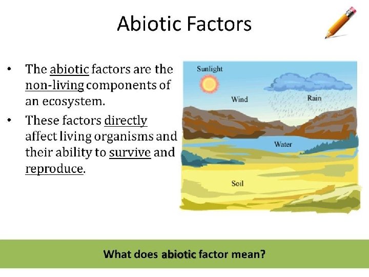 ABIOTIC COMPONENTS ABIOTIC COMPONENTS