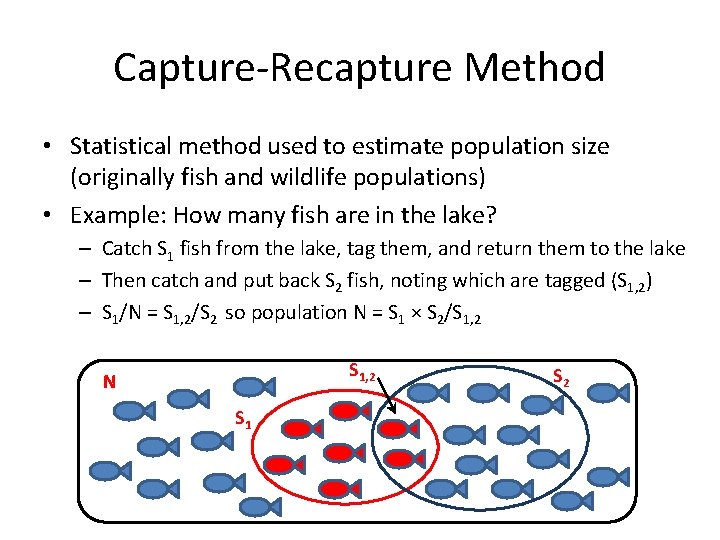 Capture-Recapture Method • Statistical method used to estimate population size (originally fish and wildlife