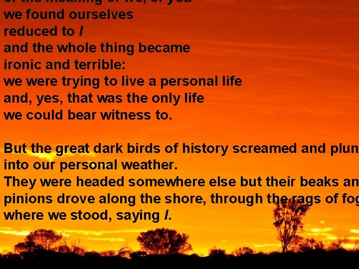 of the meaning of we, of you we found ourselves reduced to I and