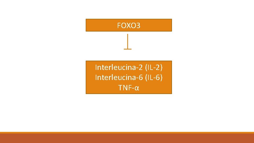 FOXO 3 Interleucina-2 (IL-2) Interleucina-6 (IL-6) TNF-α 