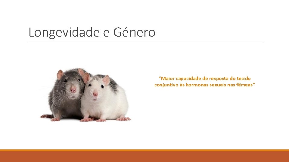 Longevidade e Género “Maior capacidade de resposta do tecido conjuntivo às hormonas sexuais nas