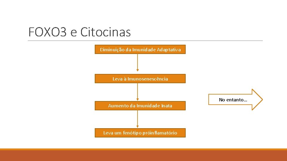 FOXO 3 e Citocinas Diminuição da Imunidade Adaptativa Leva à Imunosenescência Aumento da Imunidade