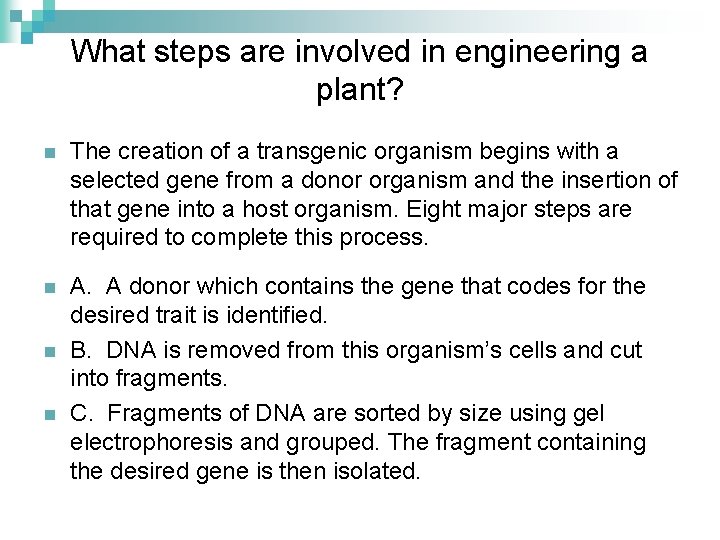 What steps are involved in engineering a plant? n The creation of a transgenic