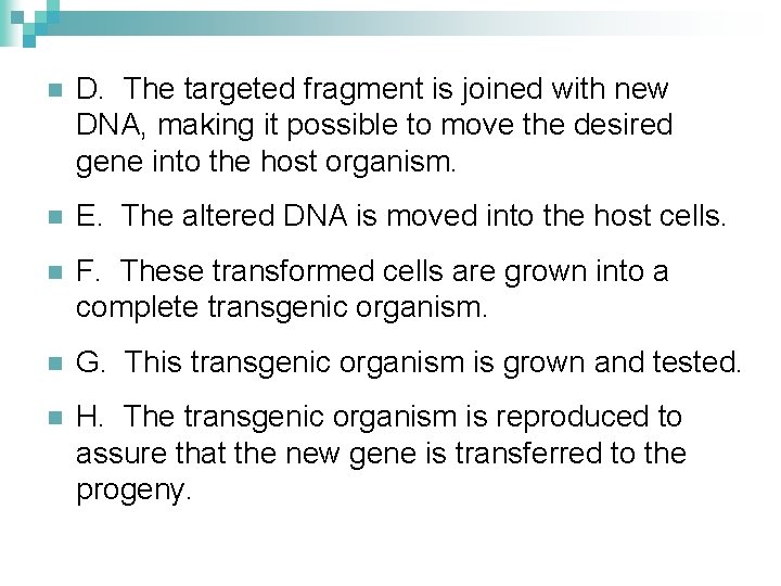n D. The targeted fragment is joined with new DNA, making it possible to