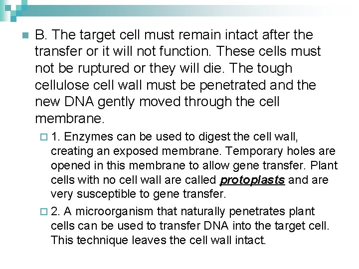 n B. The target cell must remain intact after the transfer or it will