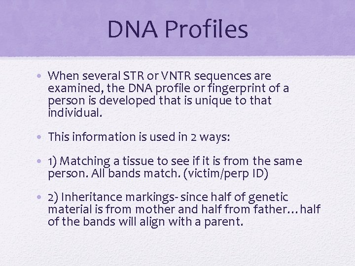 DNA Profiles • When several STR or VNTR sequences are examined, the DNA profile