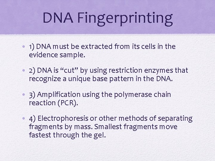 DNA Fingerprinting • 1) DNA must be extracted from its cells in the evidence