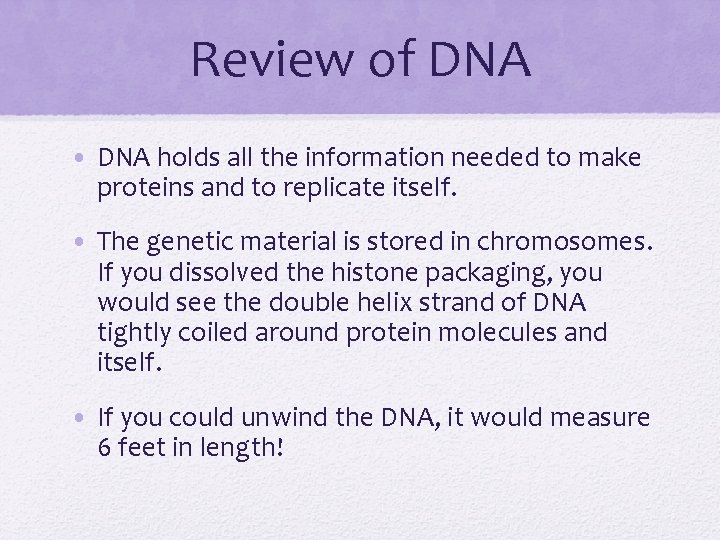 Review of DNA • DNA holds all the information needed to make proteins and
