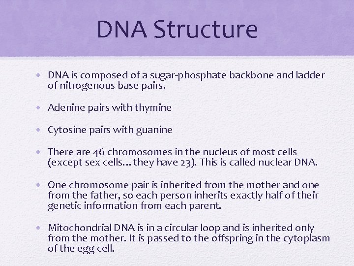 DNA Structure • DNA is composed of a sugar-phosphate backbone and ladder of nitrogenous