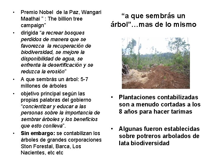  • • • Premio Nobel de la Paz, Wangari Maathai ” : The