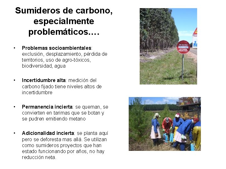 Sumideros de carbono, especialmente problemáticos…. • Problemas socioambientales: exclusión, desplazamiento, pérdida de territorios, uso