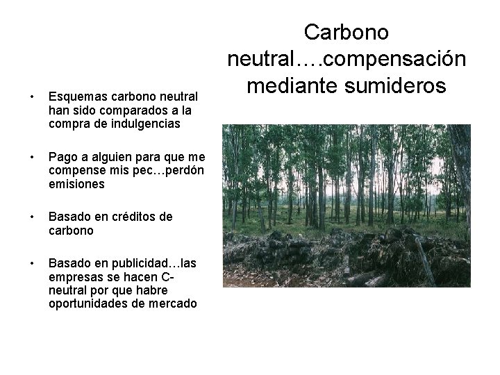  • Esquemas carbono neutral han sido comparados a la compra de indulgencias •