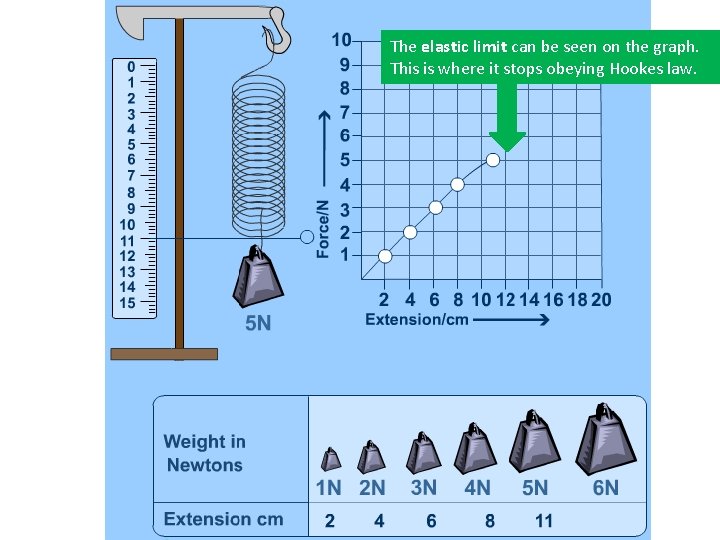 The elastic limit can be seen on the graph. This is where it stops