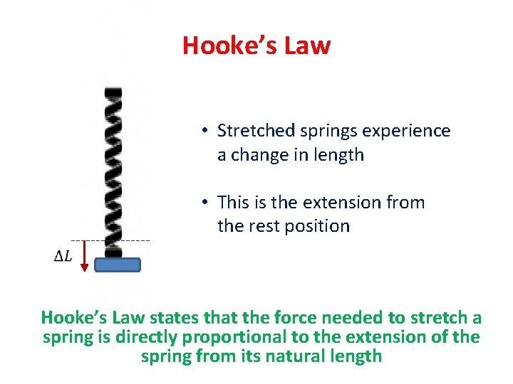 Hooke’s Law • Stretched springs experience a change in length • This is the
