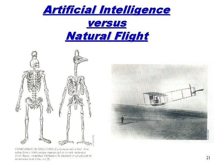 Artificial Intelligence versus Natural Flight 21 