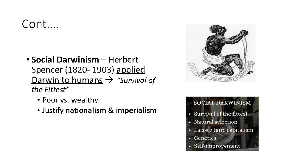 Cont. … • Social Darwinism – Herbert Spencer (1820 - 1903) applied Darwin to