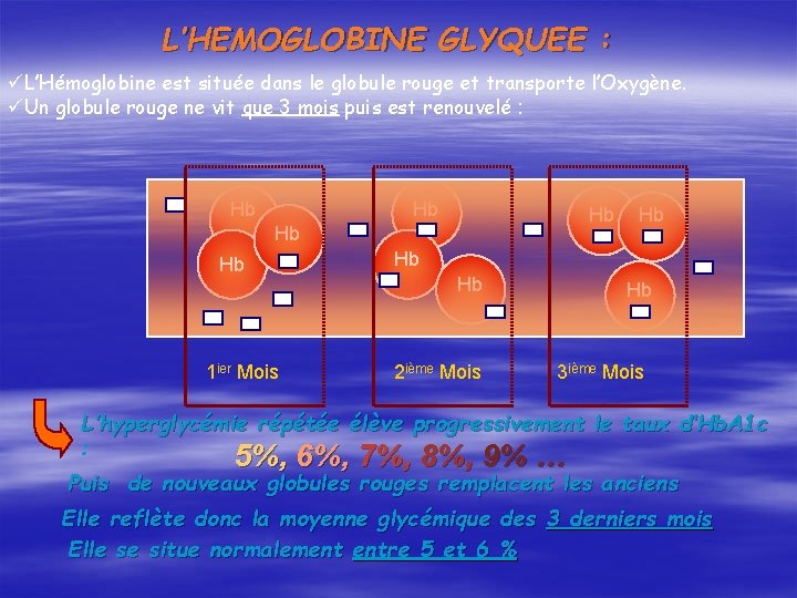 L’HEMOGLOBINE GLYQUEE : üL’Hémoglobine est située dans le globule rouge et transporte l’Oxygène. üUn