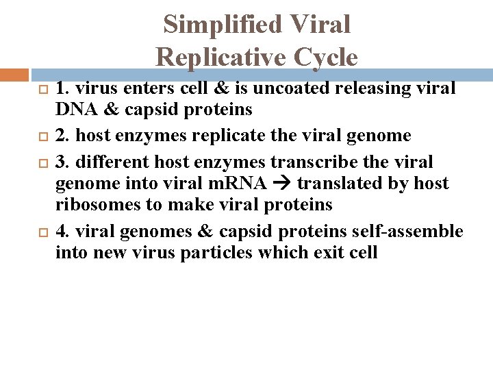 Simplified Viral Replicative Cycle 1. virus enters cell & is uncoated releasing viral DNA
