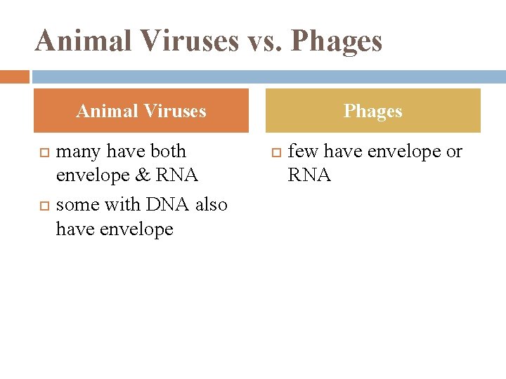 Animal Viruses vs. Phages Animal Viruses many have both envelope & RNA some with
