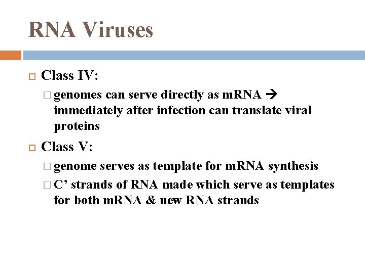 RNA Viruses Class IV: can serve directly as m. RNA immediately after infection can