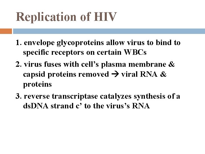 Replication of HIV 1. envelope glycoproteins allow virus to bind to specific receptors on