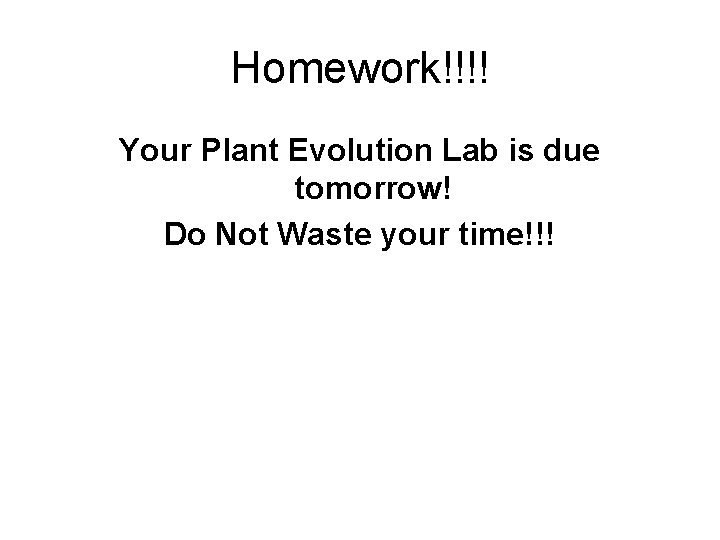 Homework!!!! Your Plant Evolution Lab is due tomorrow! Do Not Waste your time!!! 