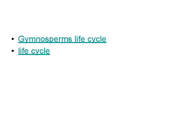  • Gymnosperms life cycle • life cycle 