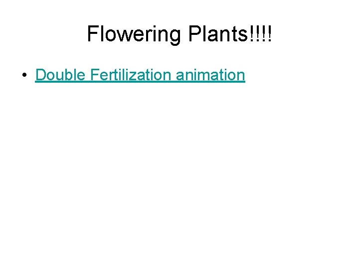 Flowering Plants!!!! • Double Fertilization animation 