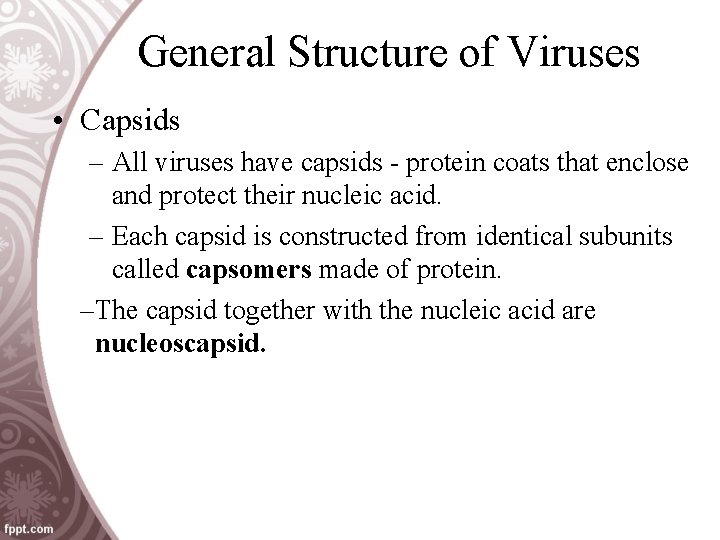 General Structure of Viruses • Capsids – All viruses have capsids - protein coats
