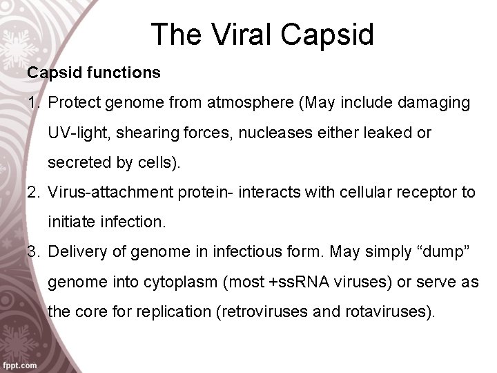 The Viral Capsid functions 1. Protect genome from atmosphere (May include damaging UV-light, shearing