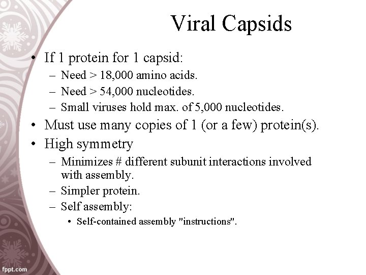 Viral Capsids • If 1 protein for 1 capsid: – Need > 18, 000
