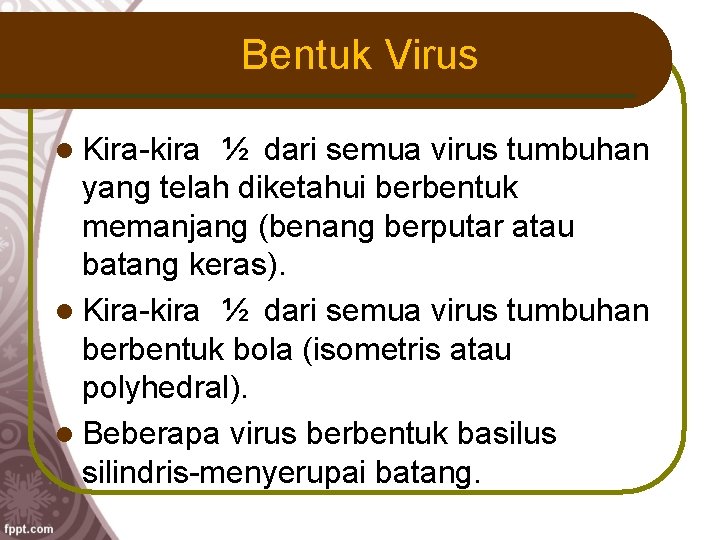 Bentuk Virus Kira-kira ½ dari semua virus tumbuhan yang telah diketahui berbentuk memanjang (benang