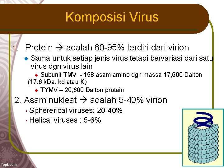 Komposisi Virus 1. Protein adalah 60 -95% terdiri dari virion Sama untuk setiap jenis