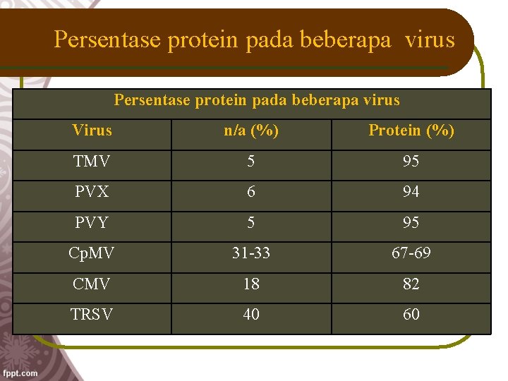 Persentase protein pada beberapa virus Virus n/a (%) Protein (%) TMV 5 95 PVX