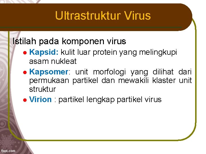 Ultrastruktur Virus Istilah pada komponen virus Kapsid: kulit luar protein yang melingkupi asam nukleat