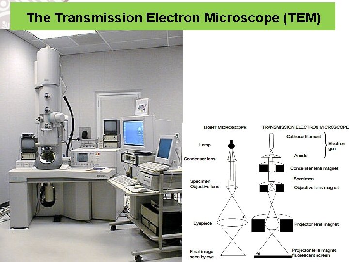 The Transmission Electron Microscope (TEM) 