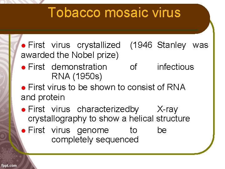 Tobacco mosaic virus First virus crystallized (1946 Stanley was awarded the Nobel prize) First